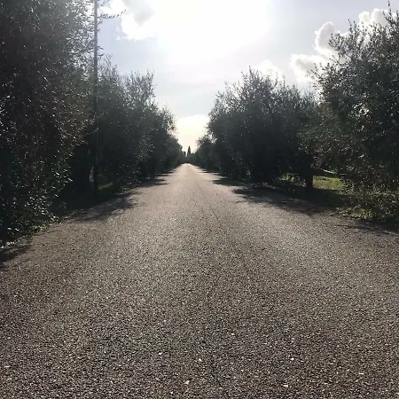 Countryhouse64 * Braccagni